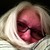 :iconjanet56: