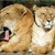 :iconjaneth-of-the-ligers:
