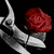 :iconjanfoto: