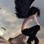 :iconjangodark00: