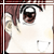 :iconjannu: