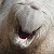 :iconjapaneseautomen: