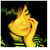 :iconjapenesedreams: