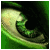 :iconjaredr672: