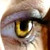 :iconjareth-andomiel:
