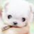 :iconjarjarjammin: