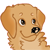 :iconjarjarmello: