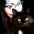 :iconjarnvidia: