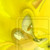 :iconjarodplaysgames32: