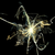 :iconjarredb74: