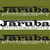 :iconjaruba: