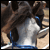 :iconjasabelle-x: