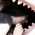 :iconjasasaina: