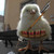 :iconjash-oridan:
