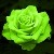 :iconjasmineteaforyou: