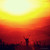:iconjason-xzheng: