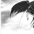 :iconjasondeath: