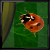 :iconjasonkenyon: