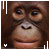 :iconjasonleephotography: