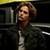 :iconjasperawesome: