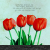 :iconjaspercookies: