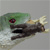 :iconjavabrain: