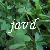 :iconjavd: