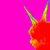 :iconjavzs: