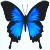 :iconjaw-art: