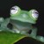 :iconjawdraw:
