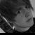 :iconjawzinc:
