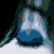 jaxabrat :iconjaxabrat: