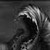 :iconjaxon24: