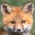 :iconjaxter-x: