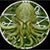 :iconjay-gee: