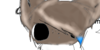 group avatar