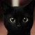 :iconjay-juri: