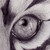 :iconjayaelle: