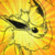 :iconjayballomen: