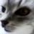 :iconJayClaw:
