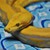 :iconjayconstrictors12:
