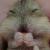 :iconjaydeewalker: