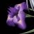 :iconjayfighter: