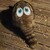 :iconjayhawkx:
