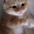 :iconjayjay0988: