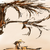 :iconjayjayadopts: