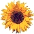 :iconjaymee4: