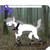 :iconjaymist-ninjawolf: