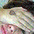 :iconJayne-Says:
