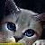 :iconjaypaw-kun: